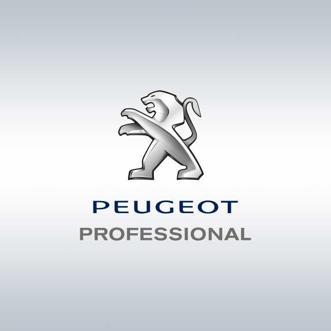 Aménagement pour véhicule utilitaire Peugeot Partner standard long, Expert compact standard long, Boxer L1 L2 L3 L4. Équipement, agencement intérieur de fourgon et fourgonnette professionnelle. Rayonnage, étagère, rangement métallique modulaire en aluminium et en acier pour les outils, mallette, coffret électroportatif et consommable. Habillage intérieur, placage en bois ou en polypropylène pour la protection du plancher et de la carrosserie. Solution de portage et d'arrimage sur le toit avec une galerie en aluminium, un pupitre porte-verre latéral, berce-vitre et un porte-échelle. Solutions d’accès par rampe de chargement et marchepied pour le camion et la camionnette du professionnel du bâtiment. Création de véhicule atelier mobile et transformation de véhicule utilitaire léger professionnel par Espace V.U Sarl. Aménageur, créateur, transformateur de véhicule utilitaire en atelier mobile pour artisan et entreprise en activité de plomberie, électricité, chauffage, climatisation, menuiserie, froid industriel, maintenance hydraulique, dépannage et installation. Station Sortimo by Gruau, équipementier automobile pour les pros à Bordeaux, en Gironde 33, Charente 16, Charente-Maritime 17, Dordogne 24 et Lot-et-Garonne 47.