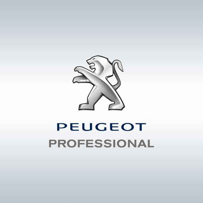 Aménagement intérieur pour Peugeot Bipper, Partner, Expert et Jumper utilitaire, étagère métallique modulaire et accessoires.